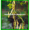 Duradero a prueba de pudrición Garden Plant Support Net 150x150mm para Beans and Peas Climbing